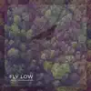 Fly Low - Single album lyrics, reviews, download