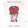 Meant To Love You (feat. ROUXN) - Single, 2017