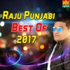 Raju Punjabi Best Of 2017