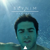 Beynim artwork