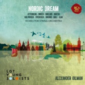 Nordic Dream artwork