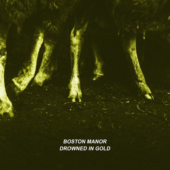 Cover artwork for Drowned in Gold