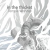 Temple Worship - Lamentations 3:41