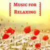 Stream & download Music for Relaxing and Sleep Well the Day Before Wedding