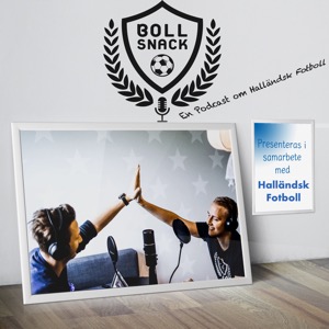Bollsnack