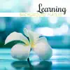 Learning Background Playlist: Boost Your Effectiveness, Mental Reset, Distress, Study Results, Attention album lyrics, reviews, download