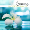 Learning Background Playlist: Boost Your Effectiveness, Mental Reset, Distress, Study Results, Attention - Improve Concentration Music Oasis