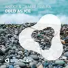 Cold as Ice - Single album lyrics, reviews, download