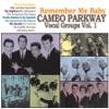 Remember Me Baby - Cameo Parkway Vocal Groups, Vol. 1