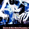 Groove & Deep House Pleasures,1 (Deep House Selected Flavours)