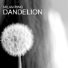 Dandelion - EP