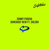 Somebody New (feat. ShezAr) artwork