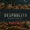 Despablito (feat. Grasu XXL) - Delia lyrics