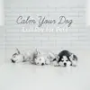 Calm Your Dog: Lullaby for Pets - Anti Anxiety, Inner Peace, Deep Relaxation Soothing Music album lyrics, reviews, download