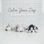 Calm Your Dog: Lullaby for Pets - Anti Anxiety, Inner Peace, Deep Relaxation Soothing Music artwork