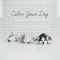 Blissful Harmonies - Pet Music Academy lyrics