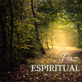 Paz Espiritual - Mejor Música Curativa con Sonidos de la Naturaleza para Cuerpo y Alma artwork