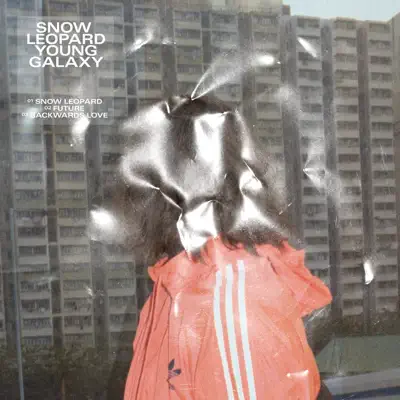 Snow Leopard - Single - Young Galaxy