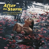After the Storm (feat. Tyler, The Creator & Bootsy Collins) by Kali Uchis