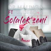 Solalek'Seni (feat. RudeBoyz) artwork