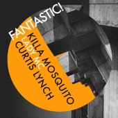 Fantastic (feat. Curtis Lynch & Lady MC) [Curtis Lynch Remix] artwork