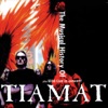 The Musical History of Tiamat, 1995