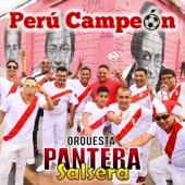 Perú Campeón artwork