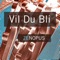 Vil Du Bli artwork