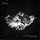 Flashingroof & H.A.N.T.-North Express (Dunkler Klang Remix)
