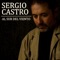 Al Sur del Viento (feat. Laura Ros) - Sérgio Castro lyrics