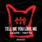 Tell Me You Love Me (DropGun Remix) artwork