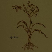 Anything by Sprain