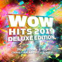 Various Artists - WOW Hits 2019 (Deluxe Edition) artwork