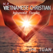 Vietnamese Christian Instrumental Favorites, Vol. 3 artwork