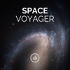 Space Voyager, 2017