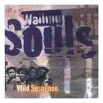 Wailing Souls - Feel the Spirit