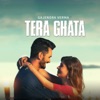 Tera Ghata - Single