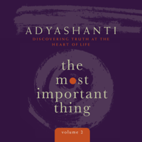 Adyashanti - The Most Important Thing, Volume 2: Discovering Truth at the Heart of Life (Original Recording) artwork
