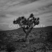David Sitek - God Damn Beauty