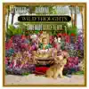 Stream & download Wild Thoughts (feat. Rihanna & Bryson Tiller) [Dave Audé Dance Remix] - Single