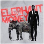 Elephant Money artwork