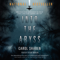 Carol Shaben - Into the Abyss: How a Deadly Plane Crash Changed the Lives of a Pilot, a Politician, a Criminal and a Cop (Unabridged) artwork