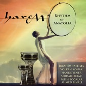 Harem (Rhythm Of Anatolia) artwork