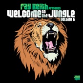 Welcome to the Jungle, Vol. 6: The Ultimate Jungle Cakes Drum & Bass Compilation artwork