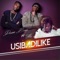 Usibadilike (feat. Fille) - Dream Boyz lyrics