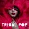 To Break Through - Roscoe Williamson, Tom Griffiths & Adam Zapel lyrics