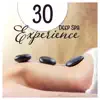 30 Deep Spa Experience: Healthy Balance, Perfect Renewal, Wellness & Massage, Calm State of Mind, Body Detox, Soft Sounds album lyrics, reviews, download