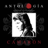 Antología De Camarón (Remasterizado 2015) artwork