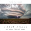 Fields Amaze and Other Strange Music