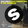 Can't Forget You (feat. The Nicholas) - Single album lyrics, reviews, download